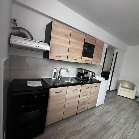 Apartamento Apartament Ultracentral Vatra Dornei Exterior foto